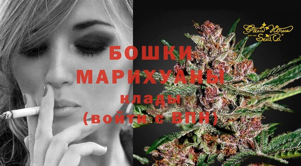 гидра Заволжск