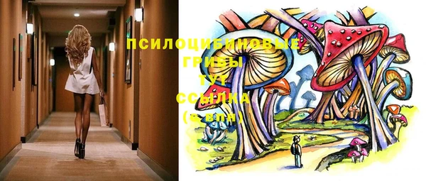 гидра Заволжск