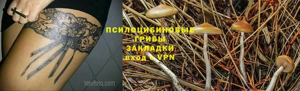 стафф Заволжье