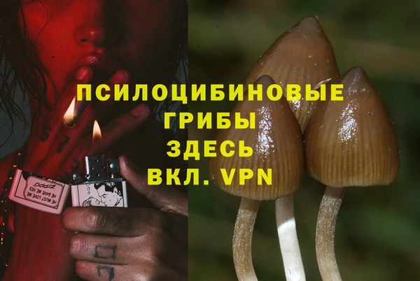гидропоника Заводоуковск
