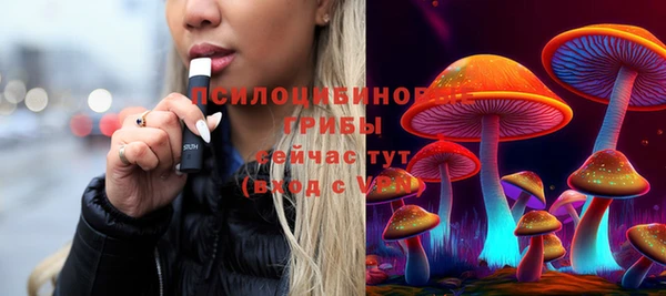 гидропоника Заводоуковск