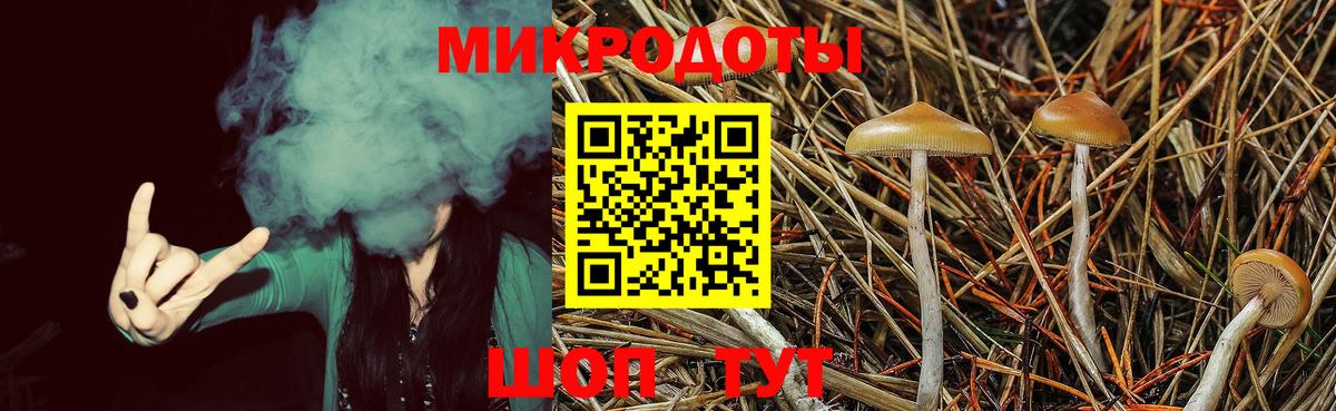 Сорочинск  Псилоцибиновые грибы Psilocybe  Вход с VPN 